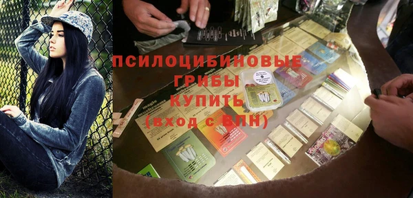 дмт Алексин