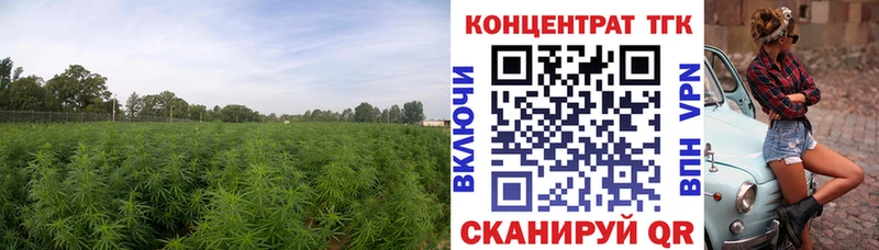 Дистиллят ТГК концентрат  Новозыбков 