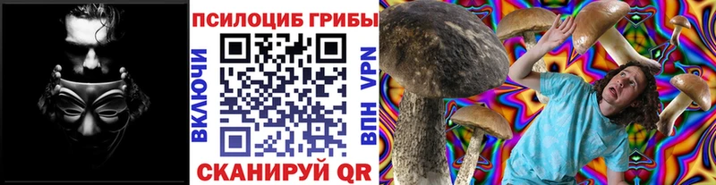 Галлюциногенные грибы мицелий  Новозыбков 